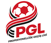 PROFESYONELLİĞE GEÇİŞ LİGİ-4-5.GRUP